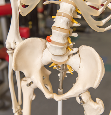 出張　あんまマッサージ指圧　CAMEL