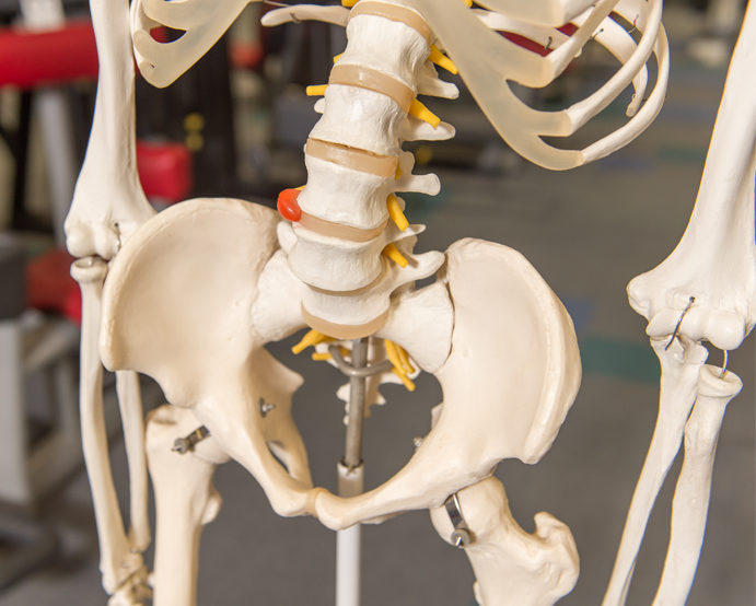 出張　あんまマッサージ指圧　CAMEL